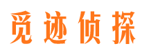 连平侦探